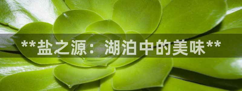 威九国际高清