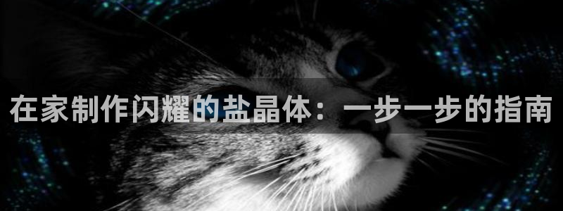 威九国际集团66m一6在线