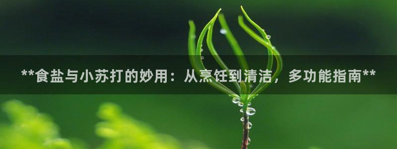 威九国际女明星