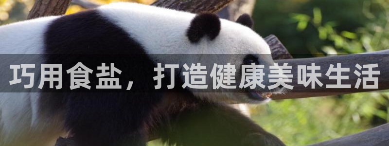 威九国际电视怎么样