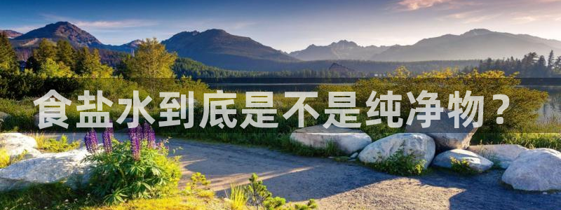 保定威九网络科技有限公司