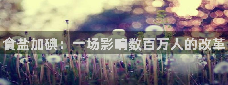 威九国际官网版