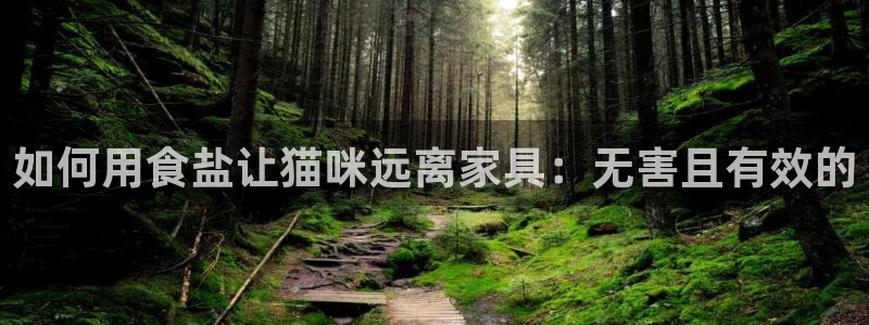 威九国际游戏