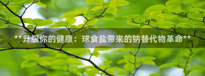 威九国际免费游戏