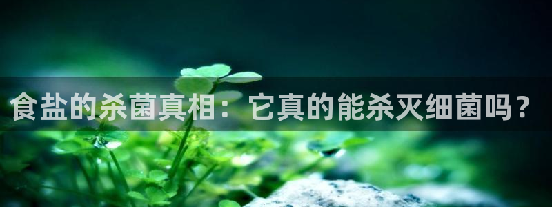 威九国际APP客服