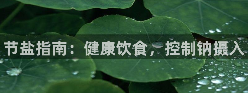 威九国际的演员