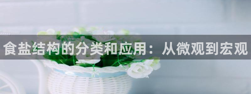威九国际网站官网