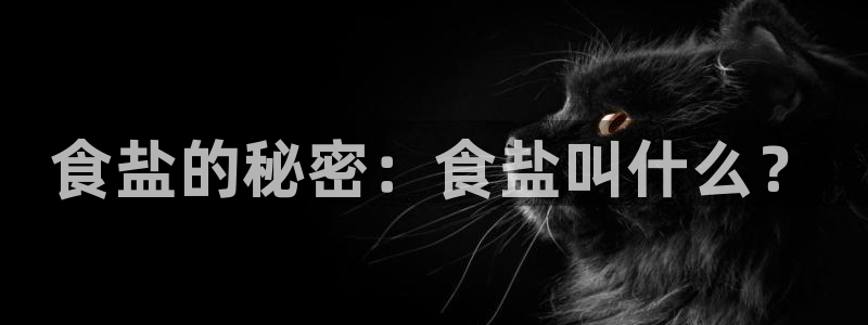 威九国际的金融服务有哪些