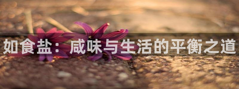 威九国际
