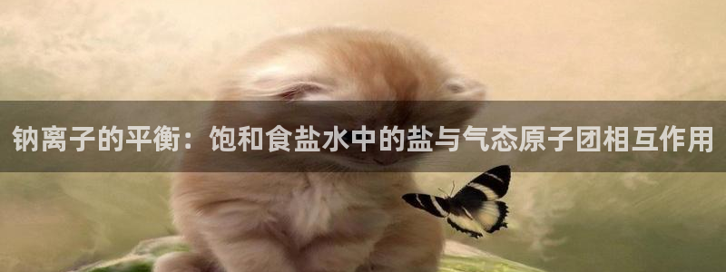 威九国际网站经常打不开网页