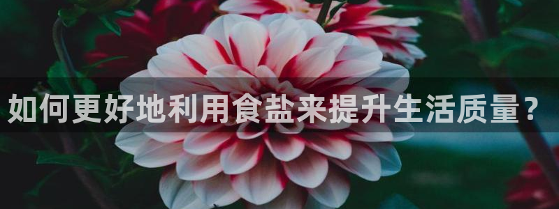 威九国际最近的视频