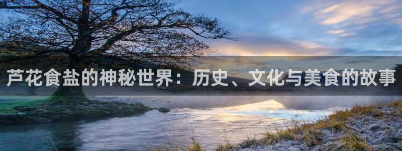 威九国际精忐