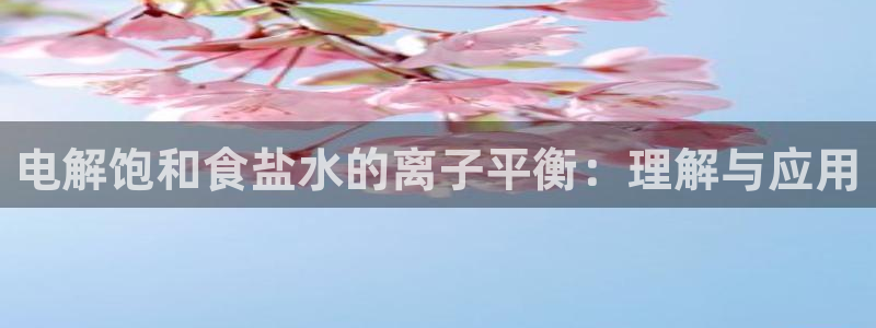 威九国际韩国