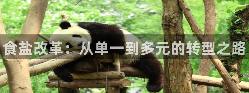 威九国际78免下载