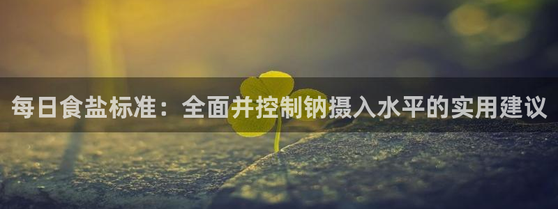威九国际的金融服务有哪些