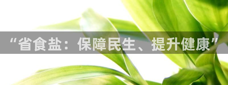 保定威九网络科技有限公司电话
