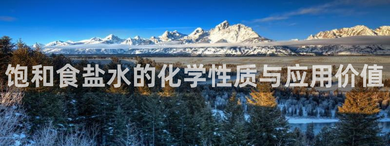 威九国际的网站入口在哪里：饱和食盐水的化学性质与应用价值