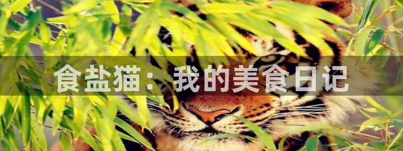 威九国际女神
