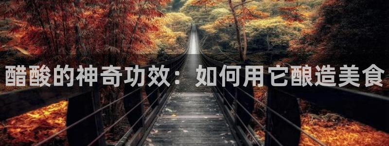 78mapp威九国际：醋酸的神奇功效：如何用它酿造美食
