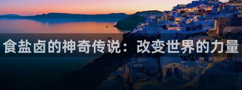 威九国际软件