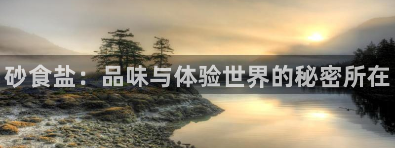 威九国际精修! #手机使用技巧