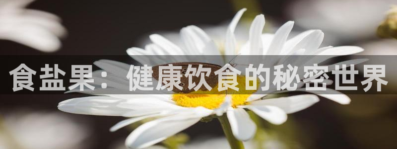 威九国际H