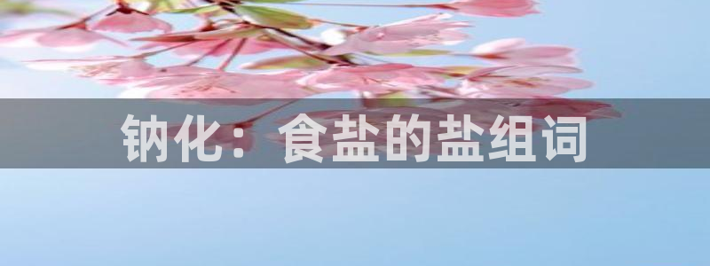 威九国际空降视频