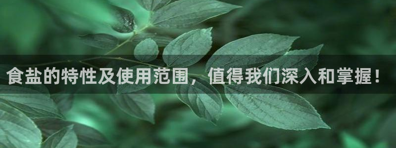 威九国际fX8x