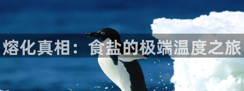 威九国际v8