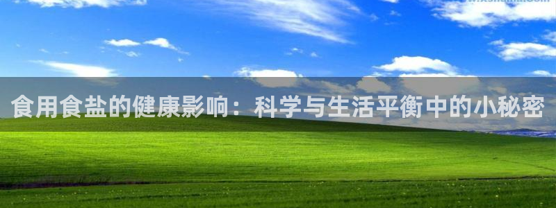 威九国际精彩推荐怎么样