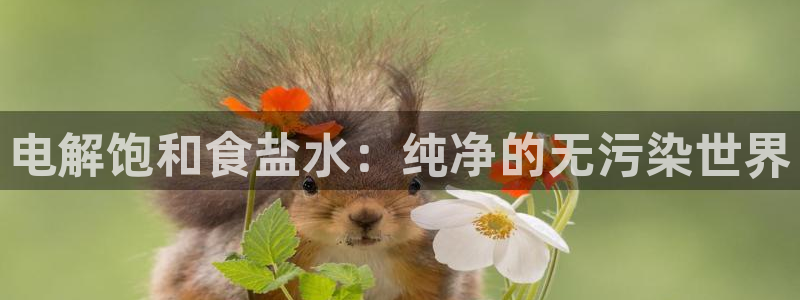 威九国际旗下艺人