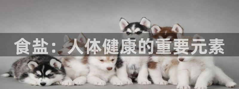 威九国际