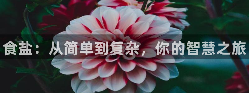 威九国际v96bet下载