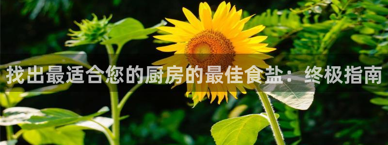 威九国际78mob游戏特色