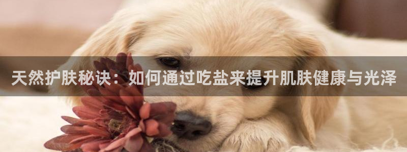 威九国际APP