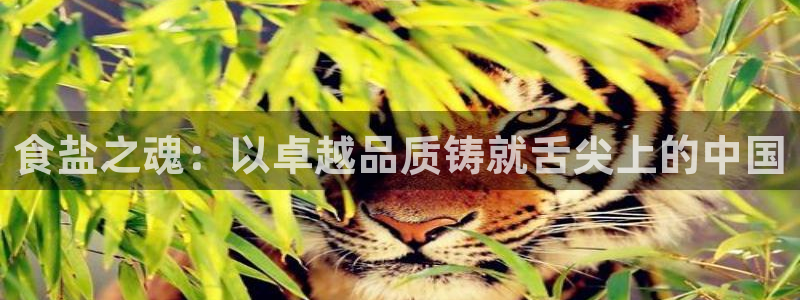 威九国际取款不会被骗吧是真的吗
