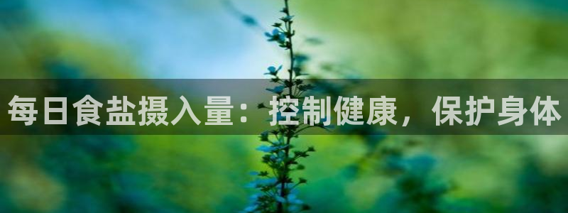 威九国际app客服电话多少