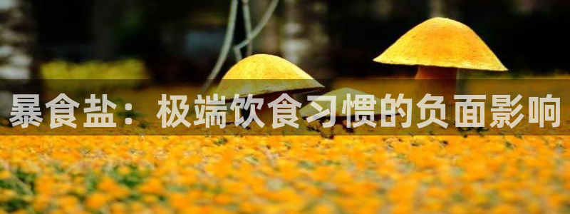 威九国际和之前