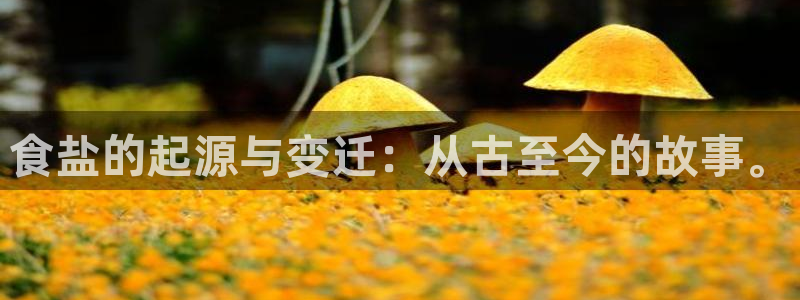 威九国际取款不到账：食盐的起源与变迁：从古至今的故事。