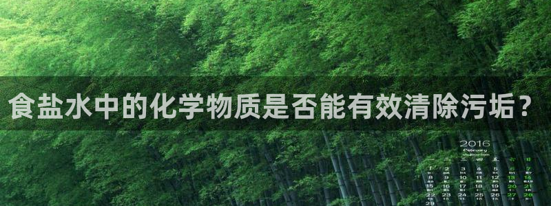 威九国际PPT