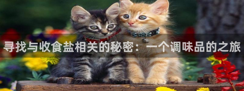 威九国际官方网站