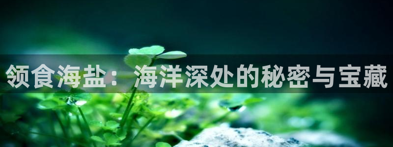 威九国际清砖码头在哪