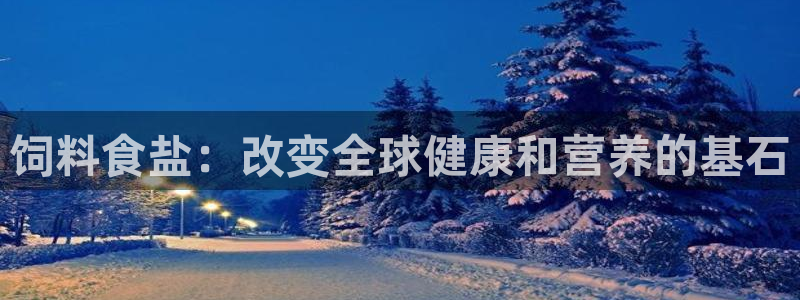 威九国际78mb官网