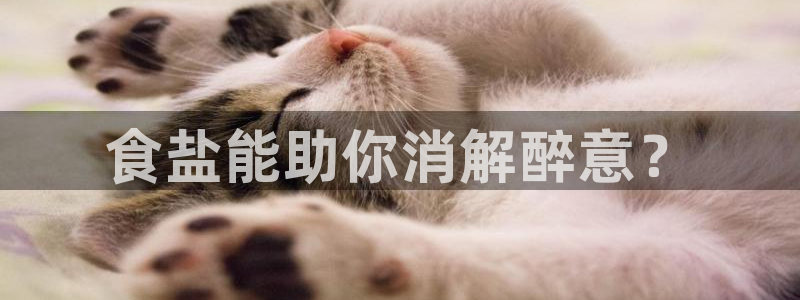 威九国际犯法吗