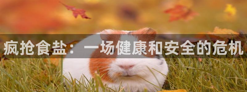 威九国际app网站官网