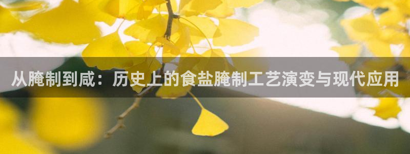 威九国际v96 bet会黑吗