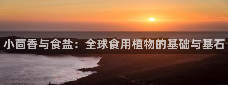 威九国际游戏app(网站)：小茴香与食盐：全球食用植物的基础