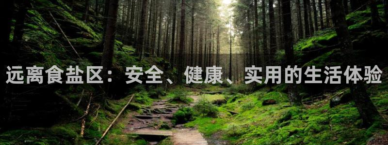 威九国际旗下艺人
