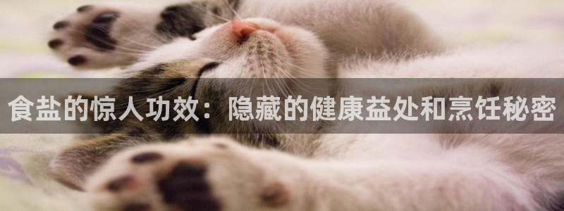 威九国际女：食盐的惊人功效：隐藏的健康益处和烹饪秘密