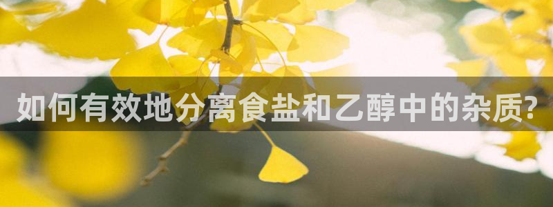 威九国际女神